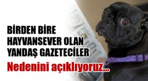 BİRDENBİRE HAYVANSEVER OLAN YANDAŞ GAZETECİLER