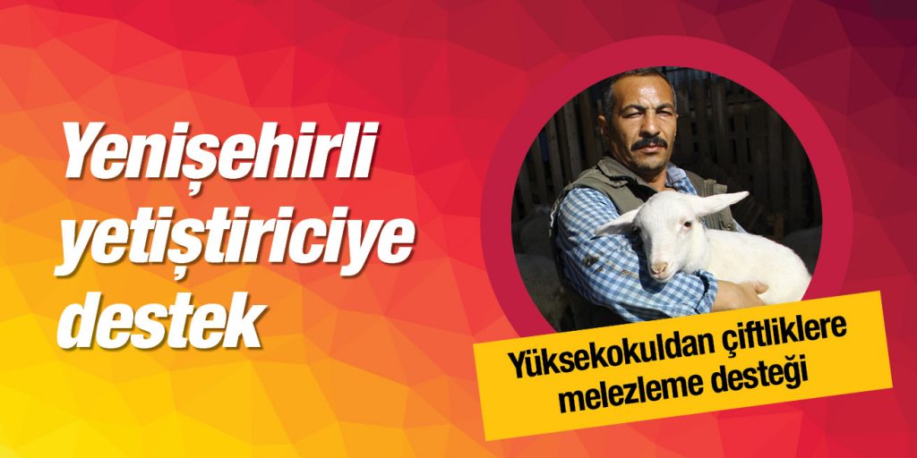 Yetiştiriciye Yüksekokul desteği